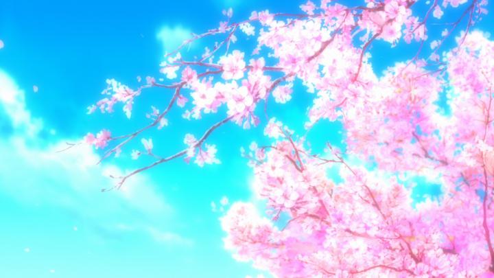 Cherry Blossom Wallpaper 1920x1080 - Zendha