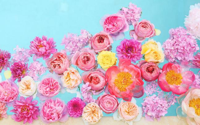 Chic Desktop Wallpaper
