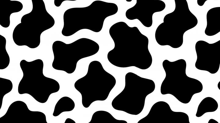 Cow Print Desktop Wallpaper