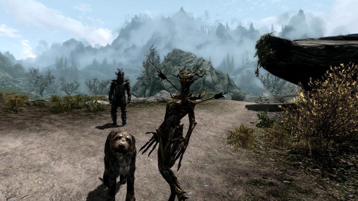 Free download Forest Skyrim Wallpaper 1920x1080 Forest Skyrim Elder 