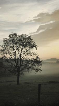 portrait display, Vertical, Landscape Wallpapers HD \/ Desktop and 