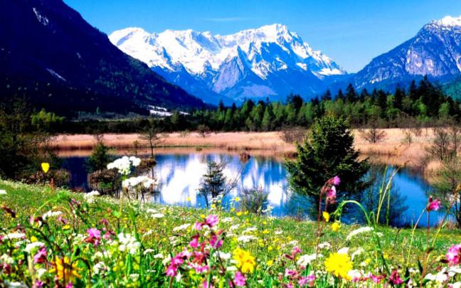 Widescreen Spring Wallpaper | Image Wallpapers HD