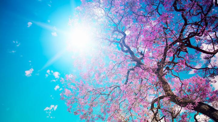 [45+] Widescreen Spring Wallpaper for Desktop 
