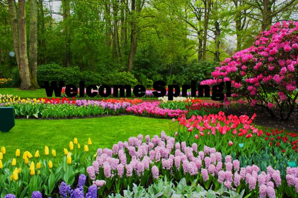 Free download Welcome spring hd wallpaper image [4272x2848] for your 