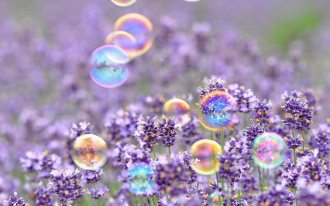 Widescreen Spring Wallpapers