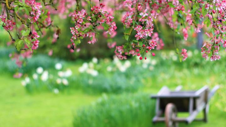 Nature Spring | Free Desktop Wallpapers for Widescreen, HD and Mobile