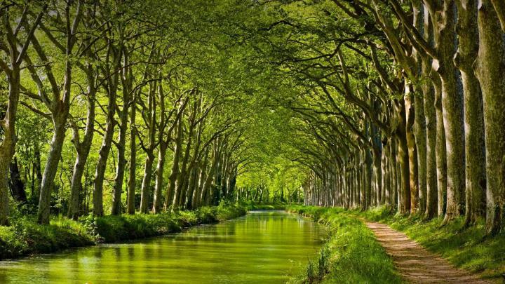 Widescreen Spring Wallpapers