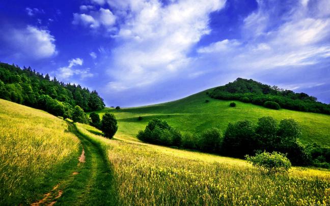 [46+] Spring Widescreen Desktop Wallpaper 
