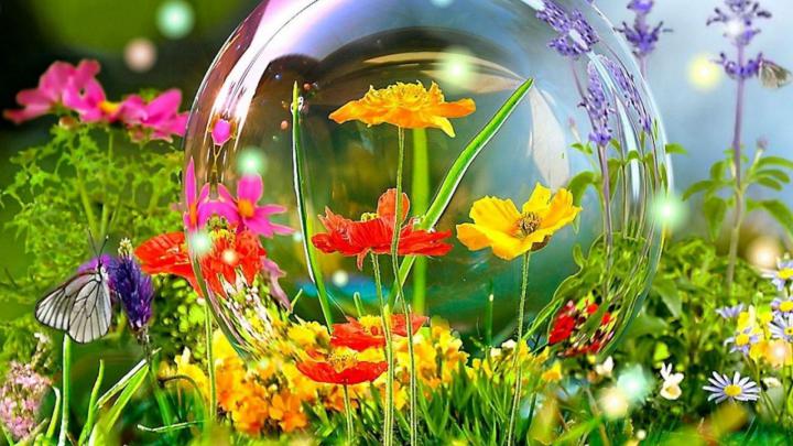 Widescreen Spring Wallpapers
