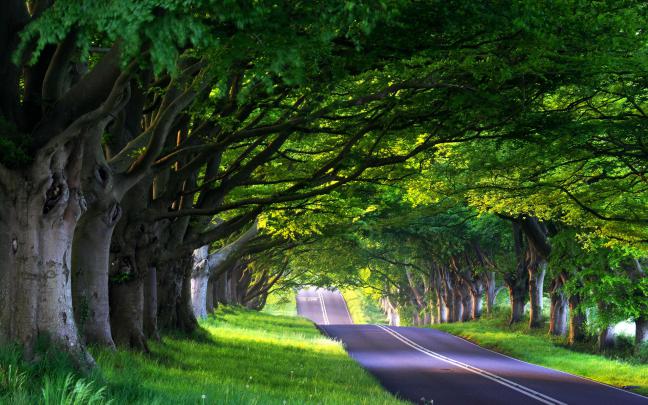[44+] Spring Wallpaper Backgrounds Widescreen 