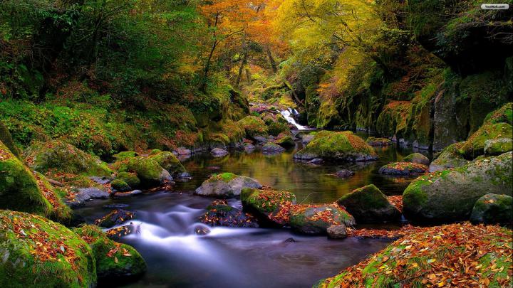 Mountain Spring Landscape HD desktop wallpaper : Widescreen : High 