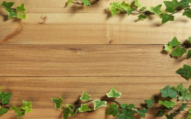 wood wallpaper green - HD Desktop Wallpapers