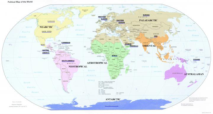 World Map Desktop Wallpaper \u00b7\u2460 
