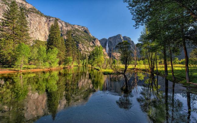Forest Yosemite Wallpaper Mac Wallpaper
