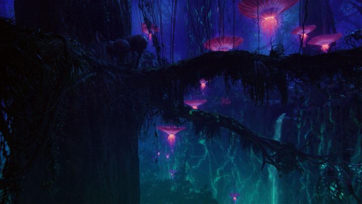 Avatar Backgrounds