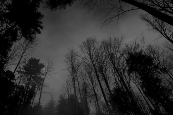 49+ Aesthetic Tumblr backgrounds Black \u00b7\u2460 Download free cool HD 