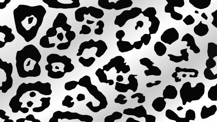 Pictures of Cheetah Print Wallpaper \u00b7\u2460 