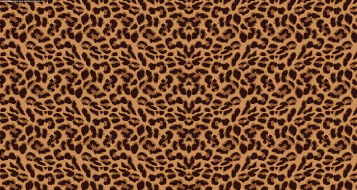 Free download leopard print twitter background [1920x1024] for your 