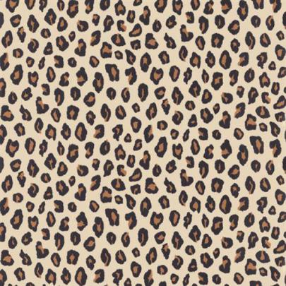 Free download Cheetah Print Wallpaper For Bedroom Cheetah print 