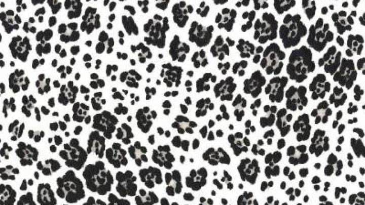 Leopard Print Wallpapers HD