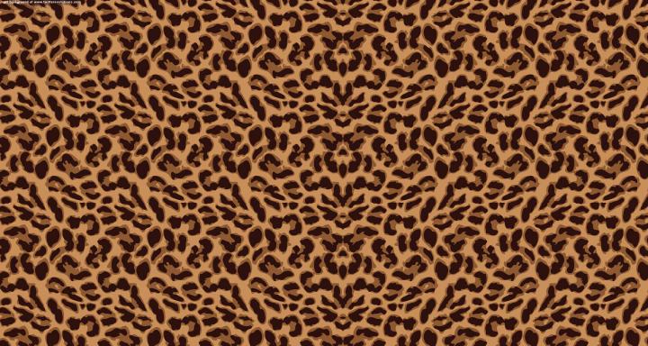 Leopard Print Wallpaper (47 Wallpapers) \u2013 HD Wallpapers