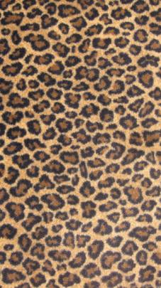 Leopard Print Wallpapers Desktop Backgrounds Desktop Background