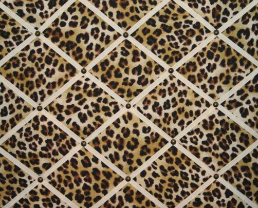 Pictures Of Cheetah Print Wallpapers