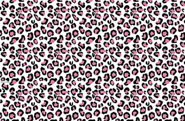 Cheetah Print Wallpapers