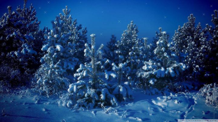 Christmas Wallpapers 1920x1080