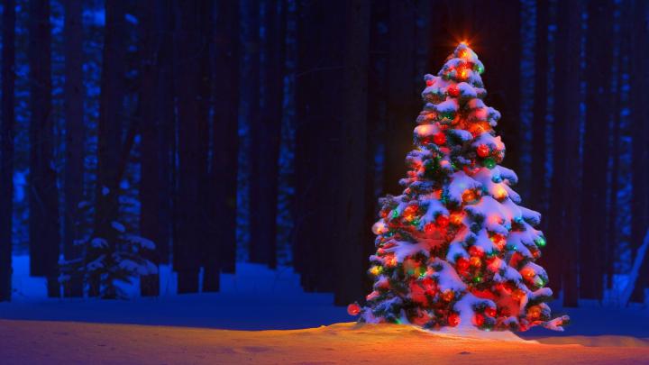 1920x1080 Christmas Wallpaper (76+ pictures)