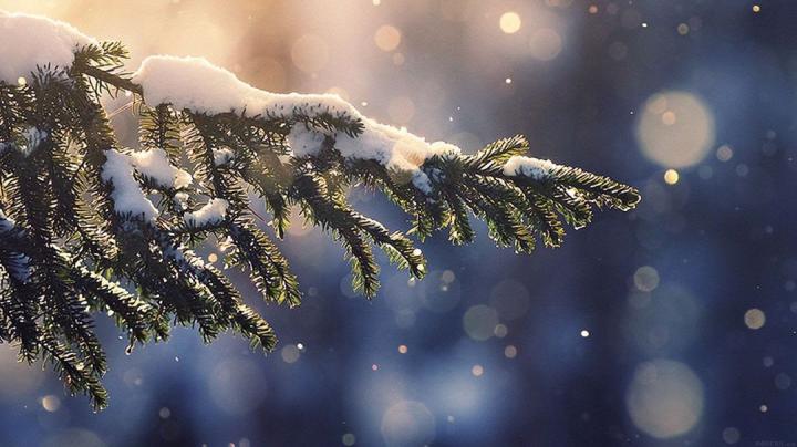 Aesthetic Christmas Desktop Wallpaper 1920X1080 : Explore and download 