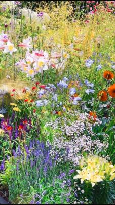 Aesthetic Background Cottagecore Pc Wallpaper : Cottagecore Wallpapers 