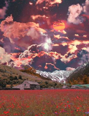 Cottagecore Wallpapers