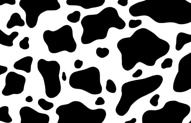 Cow Hide Accent Pillow by The Wellington Boot - Cover (20\u0026quot; x 20\u0026quot;) with 