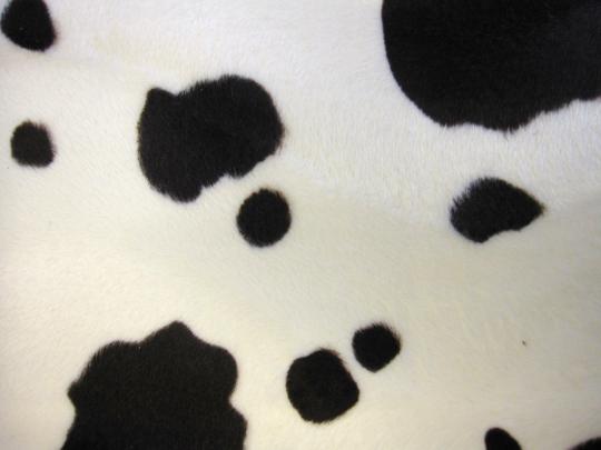 Aesthetic Wallpaper Brown Cow Print \/ Wallpaper Iphone Aesthetic 