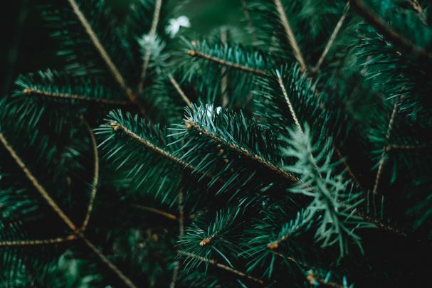 Dark 4K Wallpapers - Top Free Dark 4K Backgrounds - WallpaperAccess