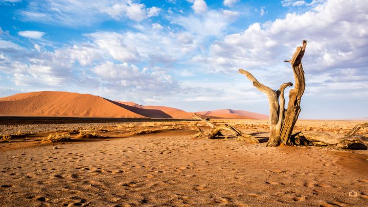 Sossusvlei Namibia Desert 4K Wallpaper \/ Desktop Background - Free 