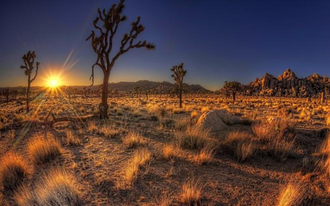 Arizona Desert Desktop Wallpaper -