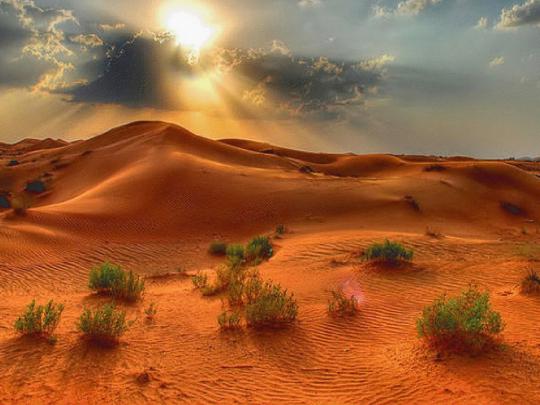 [44+] Desert Desktop Wallpaper 