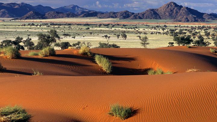 Desert Wallpapers ~ Top Best HD Wallpapers for Desktop