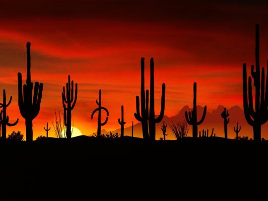 Arizona Desert Desktop Wallpaper -
