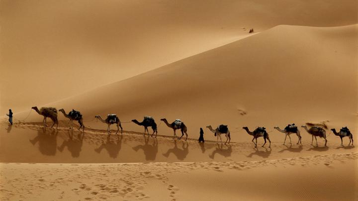 Desert Wallpapers ~ Top Best HD Wallpapers for Desktop