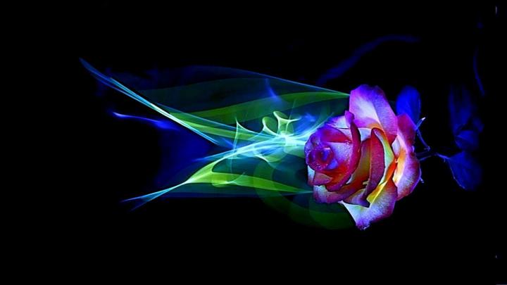 Free Desktop Wallpapers Nexus