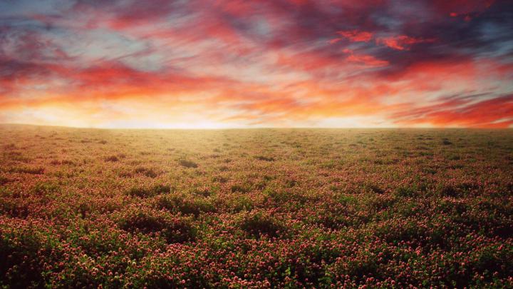 Nexus Desktop Wallpaper 1920x1080 Nature (55+ images)
