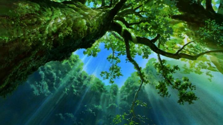 Nexus Desktop Wallpaper 1920x1080 Nature (55+ images)