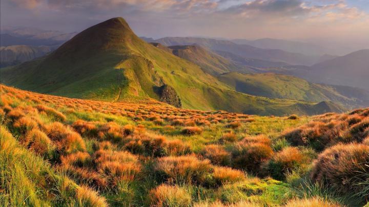 [40+] Nexus Desktop Wallpaper 1920x1080 Nature 