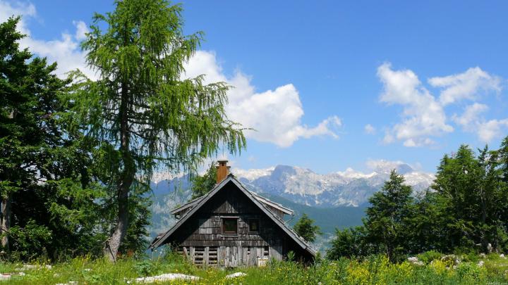 [40+] Nexus Desktop Wallpaper 1920x1080 Nature 
