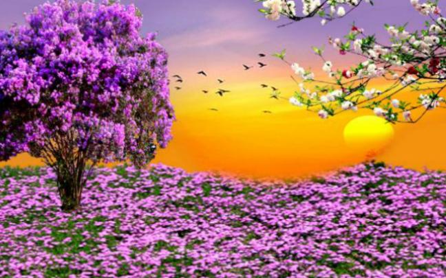 Nexus Desktop Wallpaper Nature (60+ images)