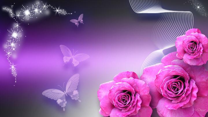 Neon Pink Butterfly Wallpapers - Top Free Neon Pink Butterfly 