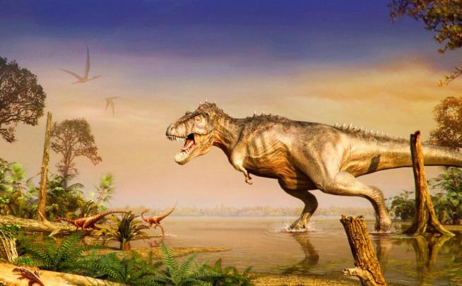 HD Dinosaur Wallpapers Pictures for Desktop Free Download